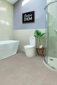 Camaro - Soho Cement